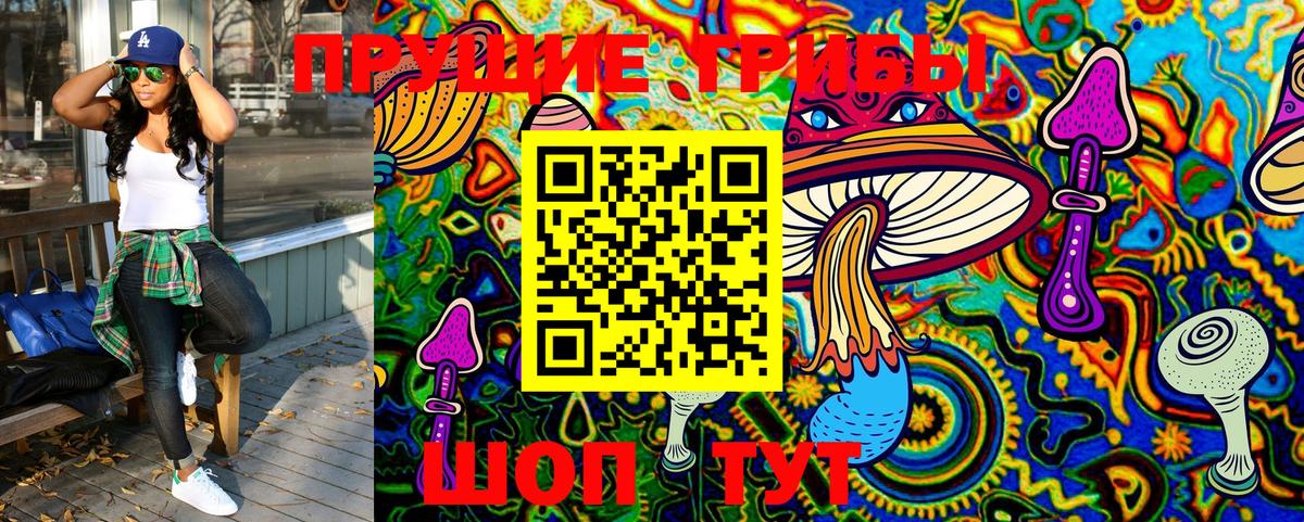 Фрязино  Галлюциногенные грибы GOLDEN TEACHER  Вход с VPN 